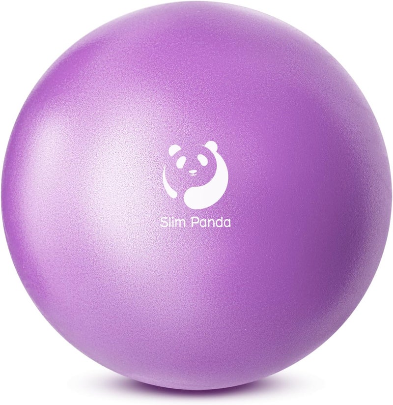 Slim Panda Pilates Ball, 9 Inch Small Exercise Ball, Anti Burst Mini Yoga Ball for Stability, Workout, Barre, Core Strength, Physical Therapy, Balance, Stretching - Image 1